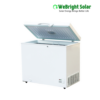 DC AC freezer 12V 24V 100L 250L-350L